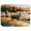 Square tempered  silk printing glass cutting boards for a factory price