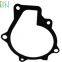 Auto pump gaskets