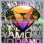 Aesthetic Holographic Silver Security Custom Sticker for Electronic Products