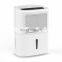 10L China Factory Price 900 Sq.Ft Intelligent Humidity Control Cloth Drying Mini Dehumidifier