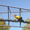 Zoo Animal Aviary 316 Stainless Steel Wire Rope Mesh Net