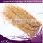 Clip-in Hair Extension Natural Human Hair Soft Remy Brazilian Hair Product with Clip in