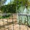 hdpe extruded garden net, thick mesh garden netting