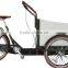 electric cargo bike for family use