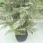 High Quality Artificial Potted Plants for Garden