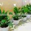 Real Touch Plastic Plant Artificial Spathi phyllum