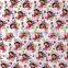 Hot Selling Cartoon Pattern PVA Hydrographics Water Transfer Printing Film