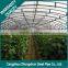 Cold Rolled Steel Pipe /Galvanced Steel Pipe for Building Greenhouse