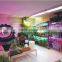 Aluminium Blue Red LED Grow Light/LED Plant Light 300W for Garden