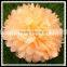 2016 new arrival wedding pom pom cheerleader