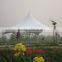 6x6m high quality pvc pagoda tent