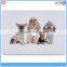 Hot Selling Computer Cover Decor 13.3 Inch Laptop Sticker