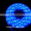 Holiday Decoration Waterproof 12V SMD 5050 Led Strip Light