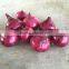 Chinese fresh onion on sale before the new year