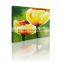 Modern Beautiful Flower Designs Oil Painting