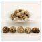 Antumn Planting Log Thick Shiitake Mushroom Spawn