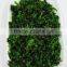 Dehydrated Broccoli Supplier Price Competitive