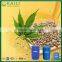 GMP Green health food organic Hemp Seed Oil beauty skin
