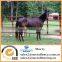 metal tubular used fence panel for livestock farm /horse panel fence