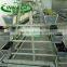 kohlrabi plant slot for Greenhouse cultivation must products