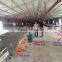 complete poultry farming equipment for breeders and broilers