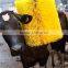 Farm Cow Brush With Electric Motor , Animal Body Brush