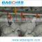 Bangchi Hot Sale Automatic Complete Chicken Poultry Shed Design