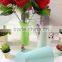 Gardening Metal Watering Pot