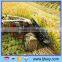 4GL-120 Hand pulling mini corn power rice or wheat harvester