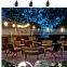 H30352 20 Bulbs Vintage Patio String Lights Black Cord Clear Glass Edison Bulbs 44'