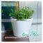 Modern indoor decor small white ceramic flower pot with high quality