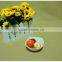 wholesale High Quality colorful hotel used ceramic dish