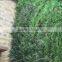 vertical garden green plants wall,green wall backdrop