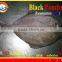 WHOLE ROUND FROZEN BLACK POMFRET