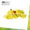 reusable and water absorbing performance light color clean cloth, floor cleaning mops