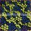 2 colors floral embroidery lace fabric, shining poly plain mesh embroidery fabric