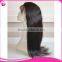 2016 new 10"-26" 100% human hair full lace wig, brazilian human hair wig, lace front wig brazilian human hair with Baby Hair