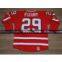 2010-NHL-Size 48-54-> #29 Fleury 2010 Olympic Canada Red NHL Jersey