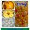 Canned Fruit Cocktail / Canned Mixed Fruit in Low Price