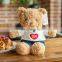 Hug teddy bear Hugging Lovers bear