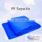60~280gsm white blue pe tarpaulins car covers