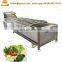 Leafy , Rhizomes vegetables processing line / commercial vegetable washing machinery