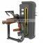 2019 Multi gym equipment fitness friceps extension from Shandong