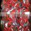 Good price chili pepper from Vietnam