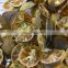 Vietnam High Quality Dried Calamansi Kumquat