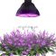 Simple LED Plant Light Bulb Grow Lights for Indoor Plants Greenhouse E27 Full Spectrum Grow Lamp
