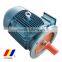 YE2/YE3 High Efficiency three phase AC electric motor 0.75KW