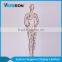 Aquagraphics stand abstract special female mannequin