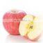 2016 Super sweet fresh fuji apple from China