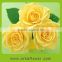 cheap rose price 0.2$ per piece cut flowers for wholesale